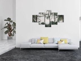 Obraz - dżungla w porannej mgle (125x70 cm)