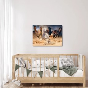 Obraz - Konie na pustyni (70x50 cm)