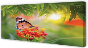 Duży obraz na płótnie Motyl wśród Kwiatów