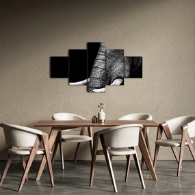 Obraz - Kły słonia (125x70 cm)