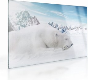 Obraz na szkle - Niedźwiedź polarny (70x50 cm)