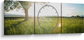 Obraz letniej łąki (z zegarem) (90x30 cm)