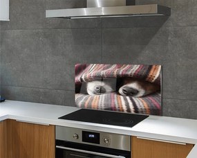 Panel Kuchenny Szklany Słodki Sen Zmęczonych Psów