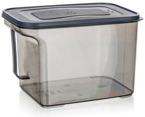 Pojemnik do przechowywania Banquet z uchwytem ZOYA3,25 l, dymny, 3,25 l