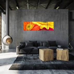 Obraz - Kwiaty Gerbery (170x50 cm)