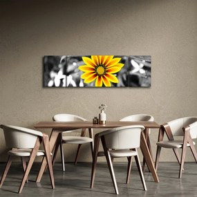 Obraz żółtego kwiatu (170x50 cm)