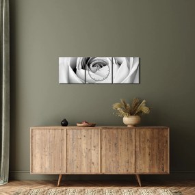 Obraz - Detal kwiatu róży (z zegarem) (90x30 cm)