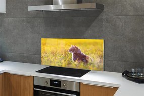 Panel szklany do Kuchni Kot w Trakcie Polowania