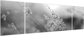 Obraz - Jesienna łąka (170x50 cm)