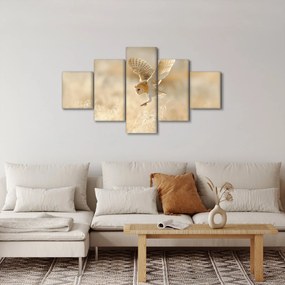 Obraz - Sowa (125x70 cm)