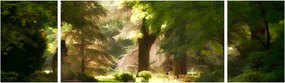 Obraz parku (170x50 cm)