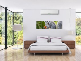 Obraz lemura (170x50 cm)