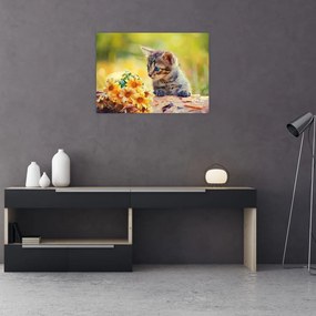 Obraz kotka patrzącego na kwiat (70x50 cm)