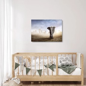 Obraz na szkle - Słonie w wielkim mieście (70x50 cm)