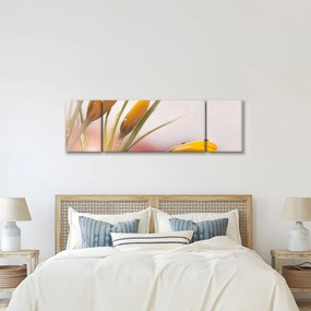 Obraz - Wiosenne kwiaty (170x50 cm)