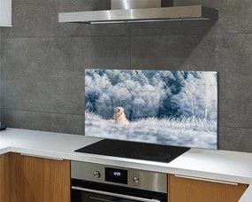 Szklany Panel Pies w Zimowych Górach