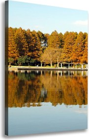 Foto obraz na płótnie pionowy Park jesienią