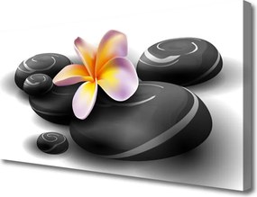 Obraz na płótnie Kwiaty i Kamienie Zen
