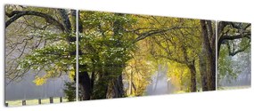 Zdjęcie - Smoky Mountains, Gatlinburg, USA (170x50 cm)
