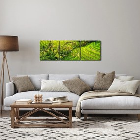 Obraz - Pola ryżowe (z zegarem) (90x30 cm)