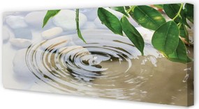 Duży obraz na płótnie Krystaliczny Plusk Wody