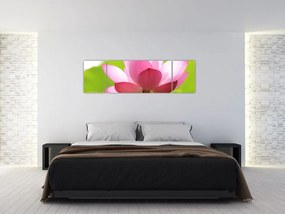 Obraz kwiatu lotosu (170x50 cm)