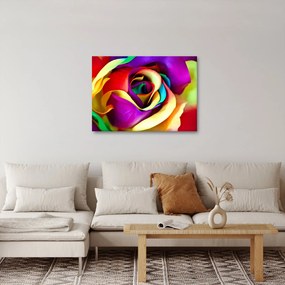 Obraz - Kolorowa róża (70x50 cm)