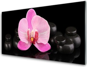 Panel Szklany Równowaga Natury: Kwiat i Kamień