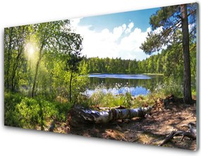 Panel Szklany Jezioro w Objęciach Lasu