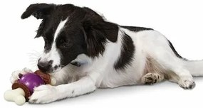 Bouncy Bone™ M zabawka dla psów