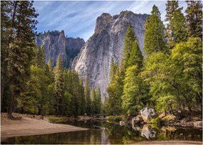 Obraz - Pod Yosemite Rock (70x50 cm)