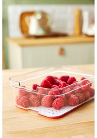 Plastikowy organizer do lodówki Cauma – Rotho