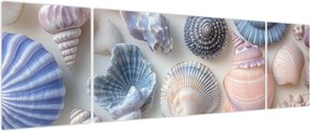 Obraz - Kolekcja muszli (170x50 cm)