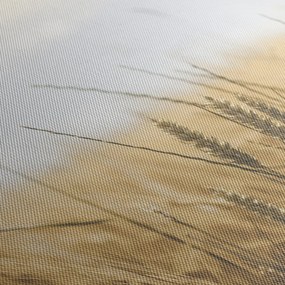Obraz ziarna (125x70 cm)