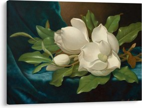 Obraz - Martin Johnson Heade, Giant Magnolias on a Blue Velvet Cloth, reprodukcje (70x50 cm)