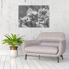 Obraz na szkle - Suszone kwiaty (70x50 cm)