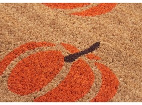 Wycieraczka 45x75 cm Mix Mats – Hanse Home