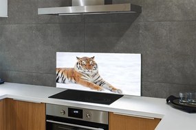 Panel szklany do Kuchni Tygrys Syberyjski w Śniegu