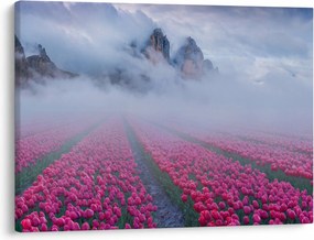 Obraz - Krajobraz z polami tulipanów (70x50 cm)