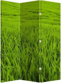 Parawan - Trawa (126x170 cm)
