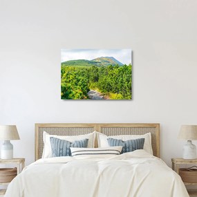 Obraz na szkle - Babia Góra, Polska (70x50 cm)