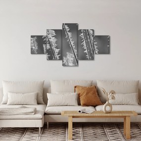 Obraz - Mroźne zimno (125x70 cm)