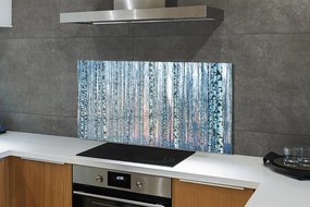 Panel szklany do Kuchni Las Brzozowy o Zmierzchu