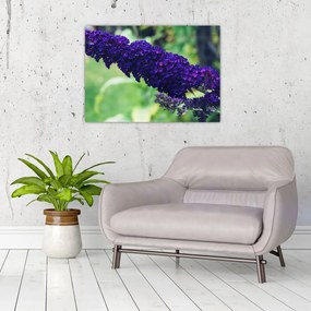 Obraz niebieskiego kwiatu (70x50 cm)