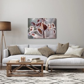 Obraz - Szczegół liści (70x50 cm)