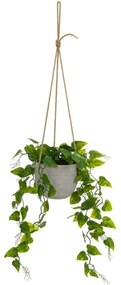 Sztuczna roślina (wysokość 46 cm) – Casa Selección