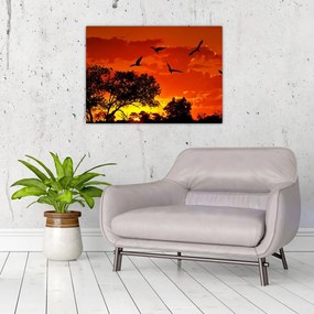 Obraz na szkle ptaków o zachodzie słońca (70x50 cm)