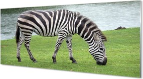 Szkło do Kuchni na Ścianę Portret Zebry w Paski