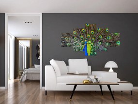 Obraz - Paw (125x70 cm)
