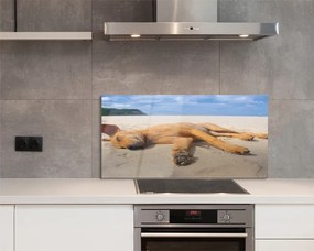 Szklany Panel Relaks Psa na Gorącym Piasku